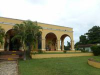 080 Und die Pracht der Zuckerrohrplantage daneben