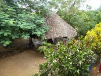 082 Auf zur Zuckermühle