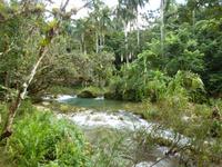 123 Eine wunderschöne Umgebung