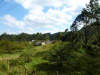 135 Idyllische Natur