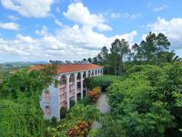 207 Ein wunderschöner Tag