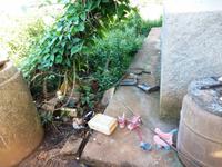 216 Wir dürfen ein Dorf besuchen