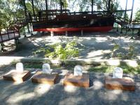 262 Gräber seiner Hunde