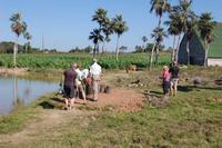 Rast an der Autopista Havanna - Pinar del Rio 