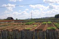 Unterwegs nach Puerto Esperanza