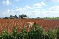 Unterwegs nach Puerto Esperanza