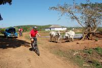 Abstecher zum Picknick unterwegs von Puerto Esperanza