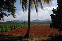 Blick auf die Landschaft des Vinales-Nationalparkes