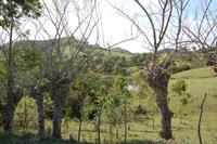 Landschaft in den Bergen der Sierra del Escambray