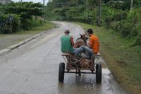 Hauptverkehrsmittel auf Kuba