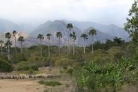 Fahrt von Baracoa nach Santiago de Cuba