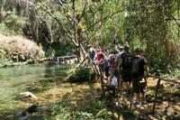 Parque Guayanara - El Venado