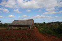Trockenhaus eines Tabakbauern im Vinales-Tal