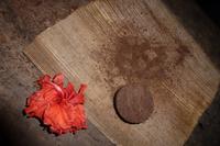 Auf der Kaffeeplantage in Baracoa