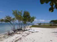 Cayo Blanco in der Karibik