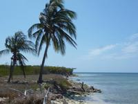 Cayo Blanco in der Karibik
