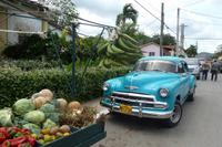 Vinales Tal in Westkuba