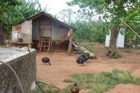 Besuch einer Familie im Vinales Tal