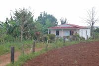 Wanderung durchs Vinales Tal