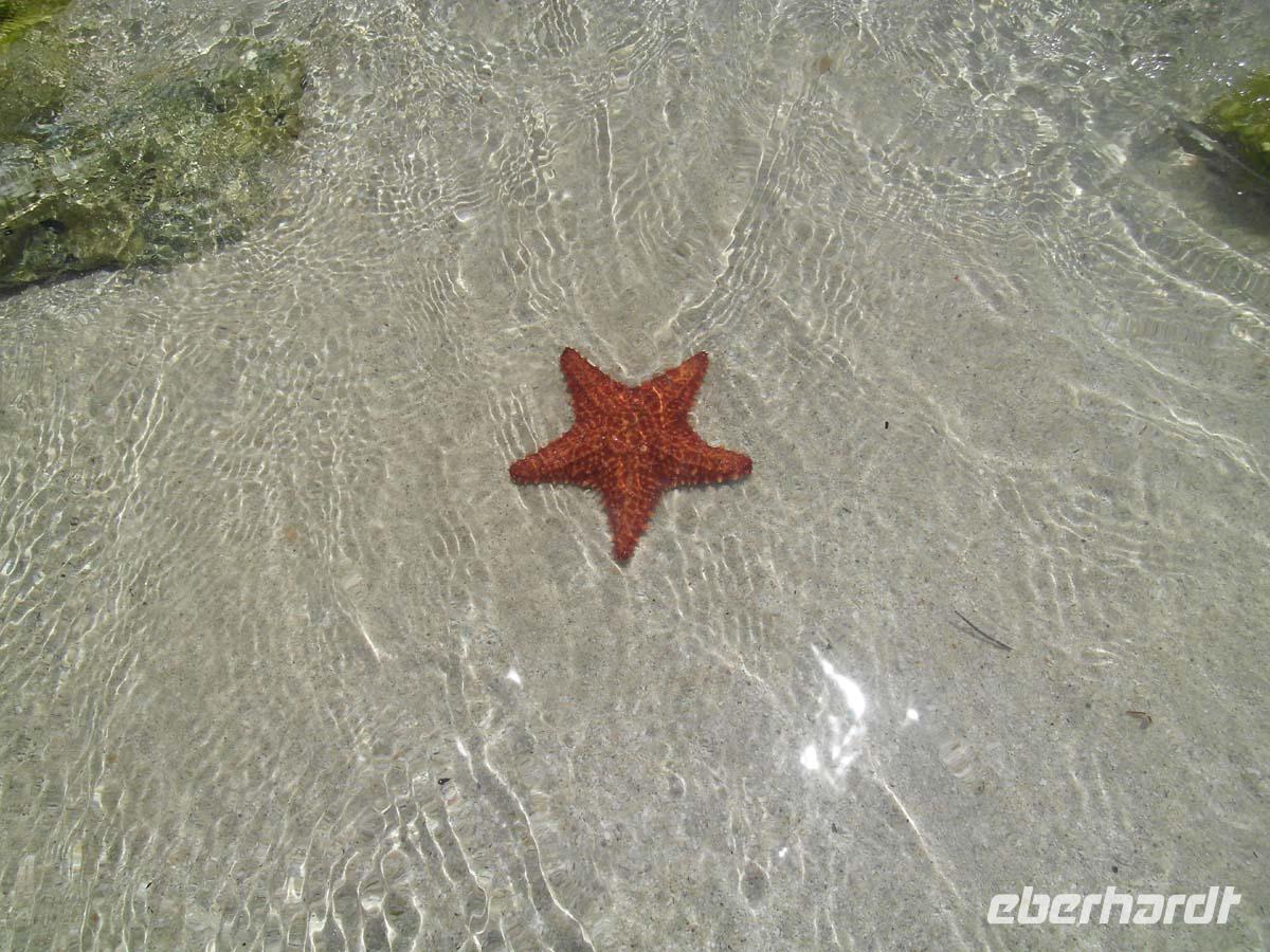 hat nicht gebissen...