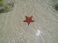 hat nicht gebissen...