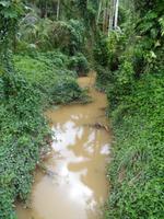 Nein nicht am Amazonas. In Kuba!