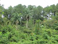 0735 Fahrt mit dem Lkw zum Ausgangspunkt unserer Wanderung