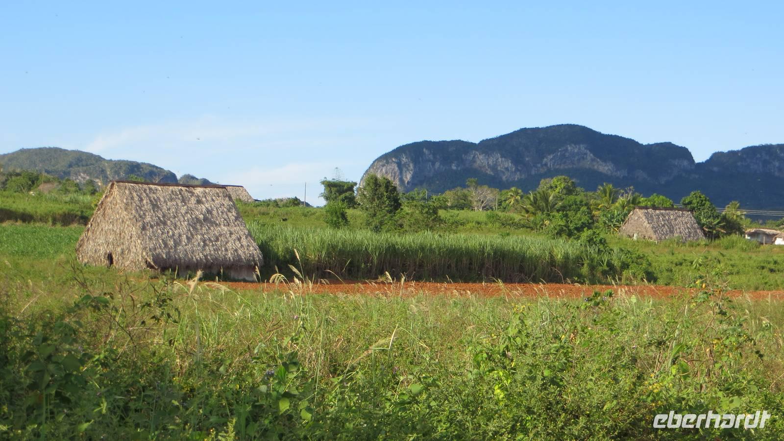 1302 Vinales -
