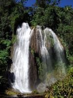 Faszination Kuba - Rundreise - Park Guanayara