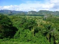 Faszination Kuba: Zigarren, Rum, karibisches Flair - Rundreise - Vinales Tal - Mogotes