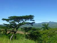 Faszination Kuba: Zigarren, Rum, karibisches Flair - Rundreise - Cienfuegos