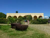 Faszination Kuba - Rundreise - Zuckerrohr-Plantage Trinidad