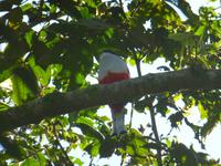 Faszination Kuba - Rundreise - Exkursion nach Guanayara Park (Sierra del Escambray)