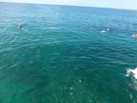 Faszination Kuba - Rundreise - Katamaran-Ausflug zur Insel Cayo Blanco