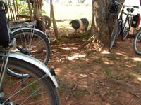 Du bist heute nicht dran.