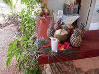 herrliche Pina Colada