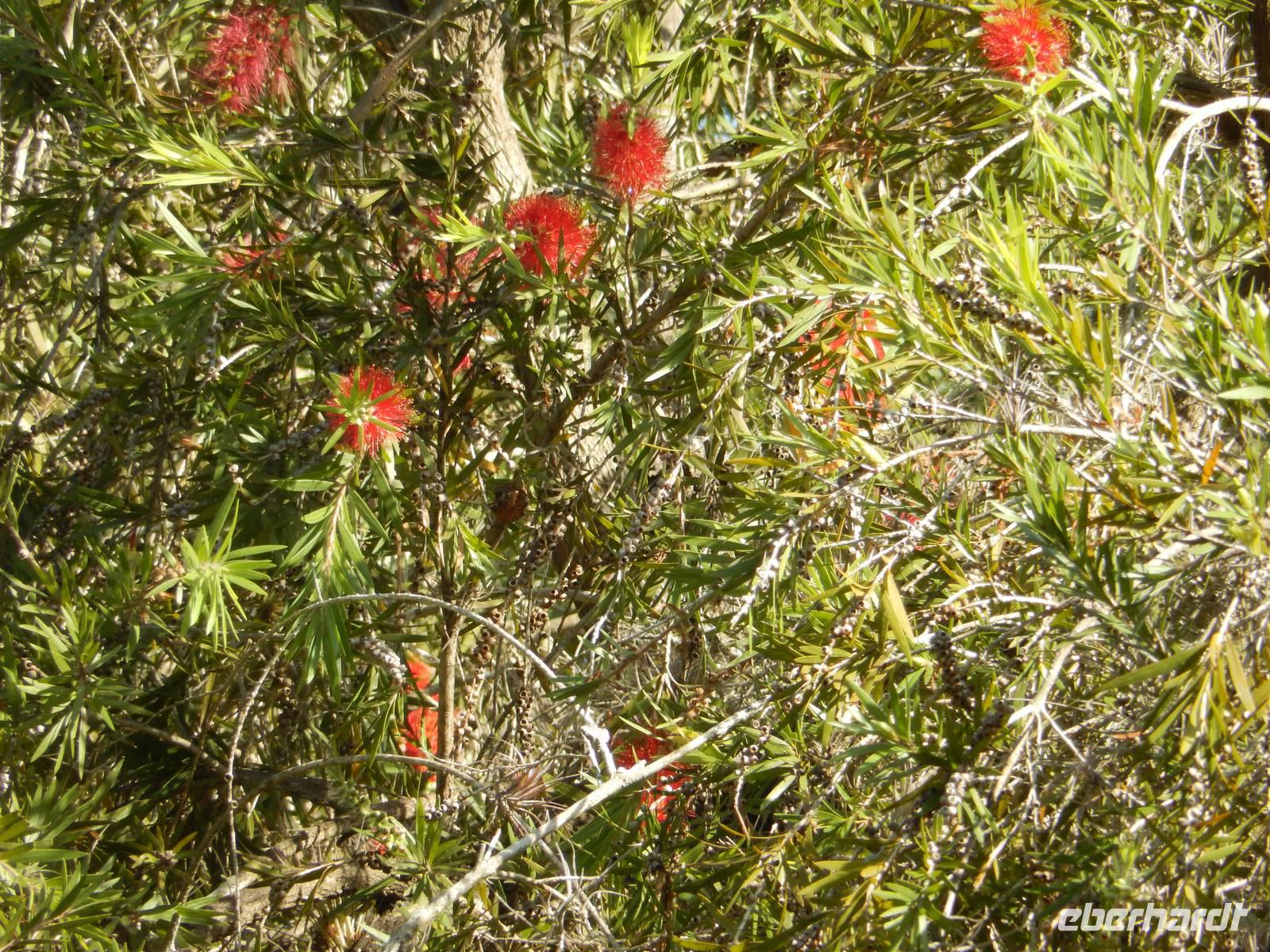 im Botanischen Garten
