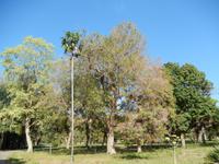 im Botanischen Garten