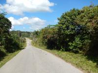 sausende Abfahrt ...