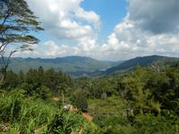 Aber dann dieser Blick!