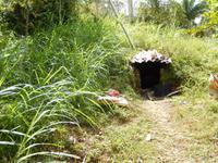 ... und hier kam es raus - das Schwein!