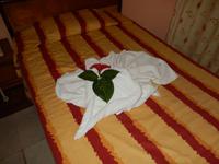 Herzlich Willkommen in Los Caneyes!