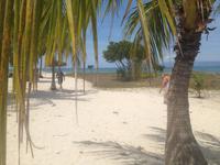 auf der Insel Cayo Blanco