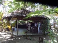 Rundreise Kuba - Sonneninsel der Karibik von Ost nach West