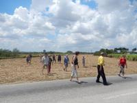 Rundreise Kuba - Sonneninsel der Karibik von Ost nach West