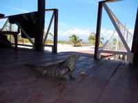 Cayo Macho - Rundreise Kuba - Sonneninsel der Karibik von Ost nach West
