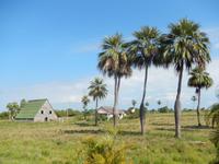 Pinar del Rio - Vinales - Rundreise Kuba - Sonneninsel der Karibik von Ost nach West