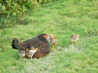 Pinar del Rio - Vinales - Rundreise Kuba - Sonneninsel der Karibik von Ost nach West
