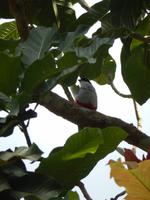 Rundreise Kuba - Sonneninsel der Karibik von Ost nach West