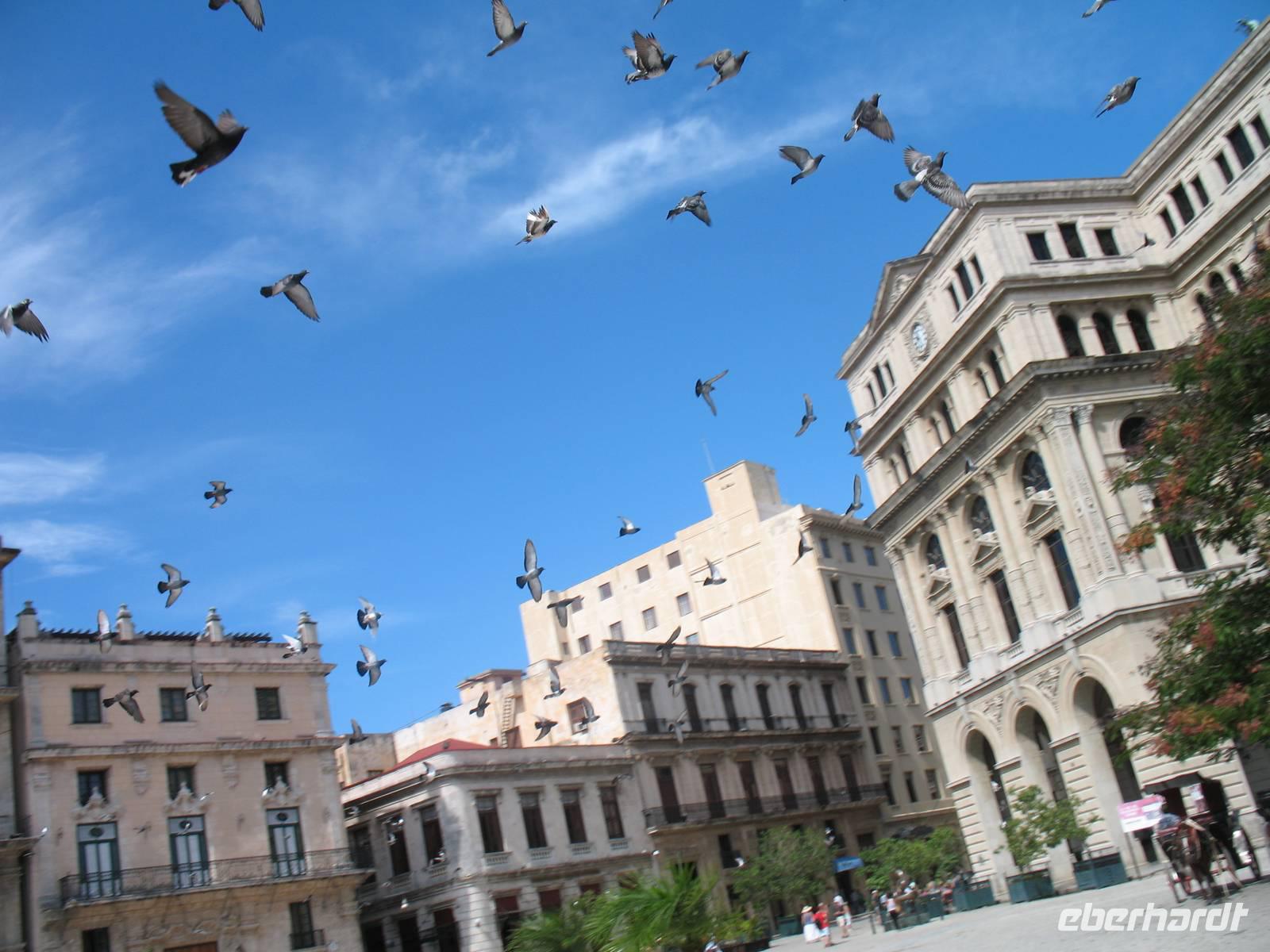 Plaza San Francisco de Asís in Havanna